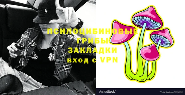 МДПВ Богданович
